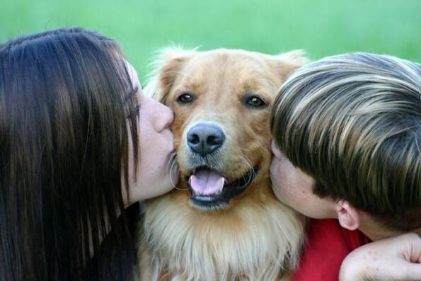 Menschen küssen einen Hund und infizieren sich mit Würmern